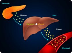 e-Xpert VVT: Diabetes