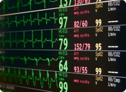 e-Xpert: Advanced Life Support (L-NL G-NL21)