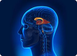 e-Xpert: Parkinson