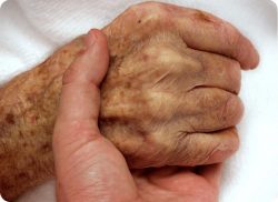 e-Xpert VVT: Palliatieve zorg