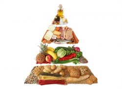 e-Xpert: Ondervoeding