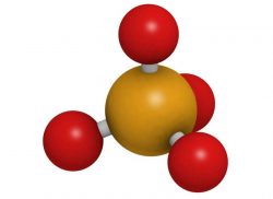 e-Xpert: Calcium en fosfaathuishouding