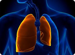 e-Xpert: Thoraxdrainage